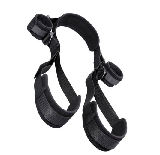 Whole Posture Restraints