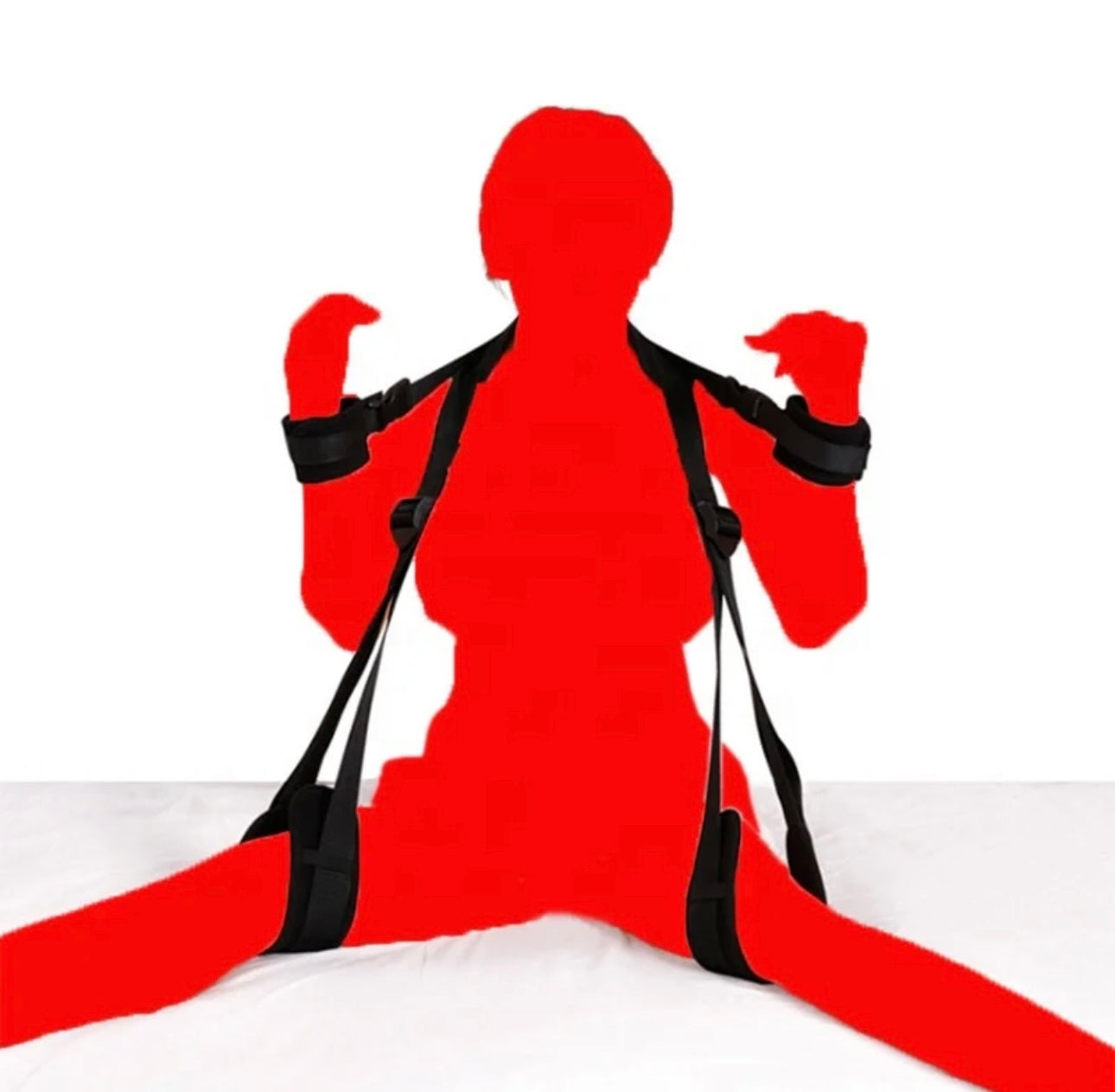 Whole Posture Restraints