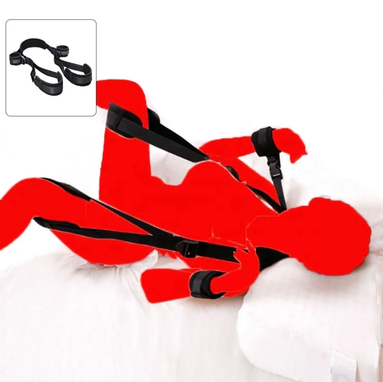 Whole Posture Restraints